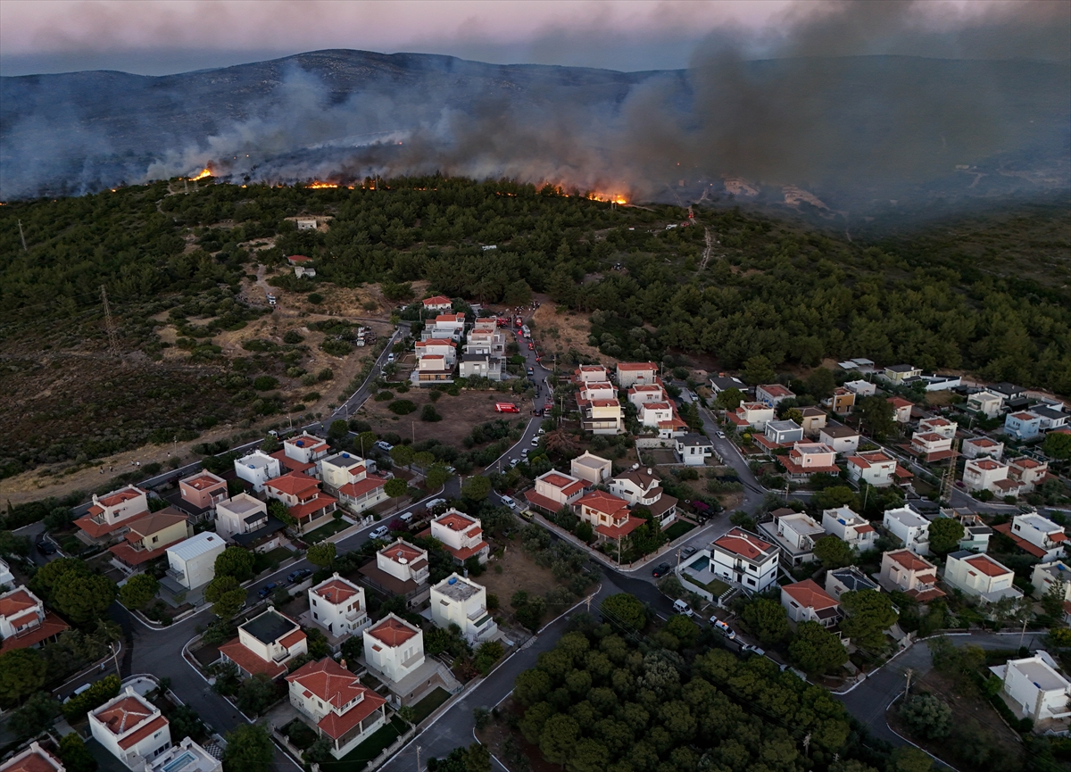 A A 20250703 38463410 38463400 I Z M I R I N C E S M E I L C E S I N D E C I K A N O R M A N Y A N G I N I N A M U D A H A L E S U R U Y O R