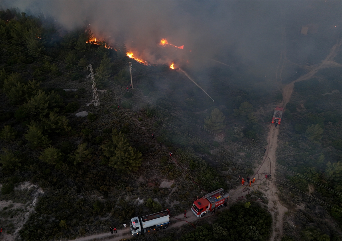 A A 20250703 38463410 38463401 I Z M I R I N C E S M E I L C E S I N D E C I K A N O R M A N Y A N G I N I N A M U D A H A L E S U R U Y O R