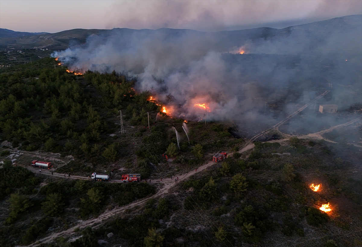 A A 20250703 38463410 38463402 I Z M I R I N C E S M E I L C E S I N D E C I K A N O R M A N Y A N G I N I N A M U D A H A L E S U R U Y O R