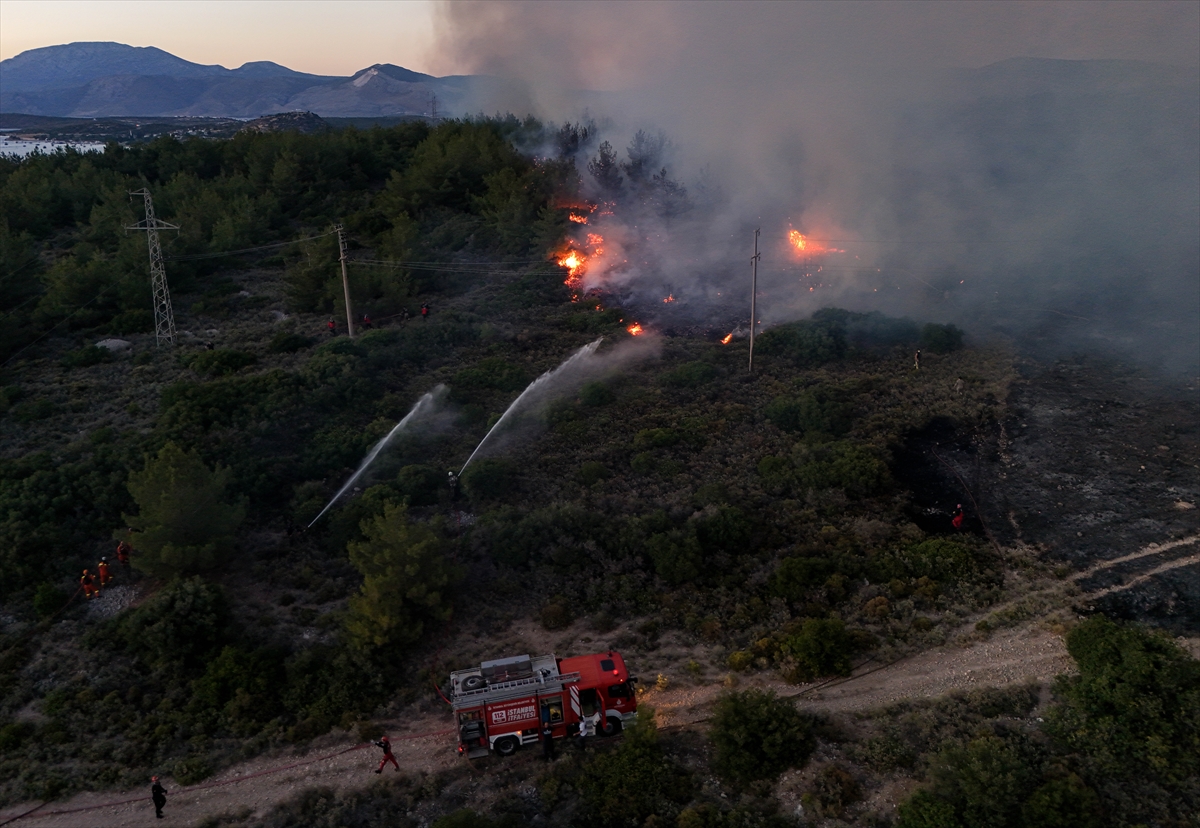 A A 20250703 38463410 38463403 I Z M I R I N C E S M E I L C E S I N D E C I K A N O R M A N Y A N G I N I N A M U D A H A L E S U R U Y O R