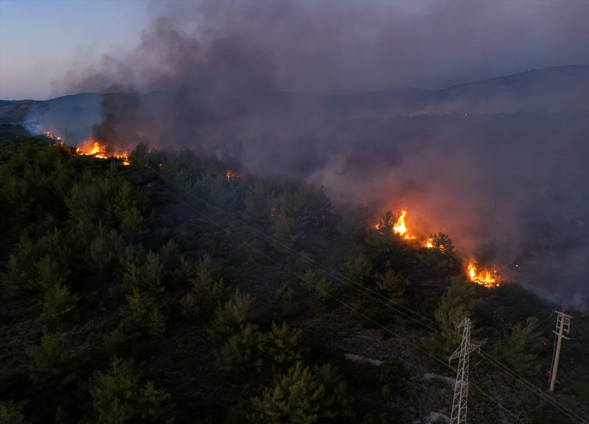 A A 20250703 38463410 38463407 I Z M I R I N C E S M E I L C E S I N D E C I K A N O R M A N Y A N G I N I N A M U D A H A L E S U R U Y O R