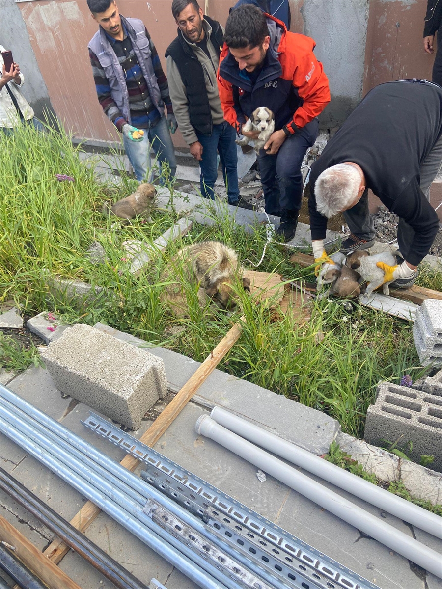 A A 20250703 38463663 38463662 K A R S T A B A C A Y A D U S E N 4 Y A V R U K O P E G I A F A D E K I P L E R I K U R T A R D I