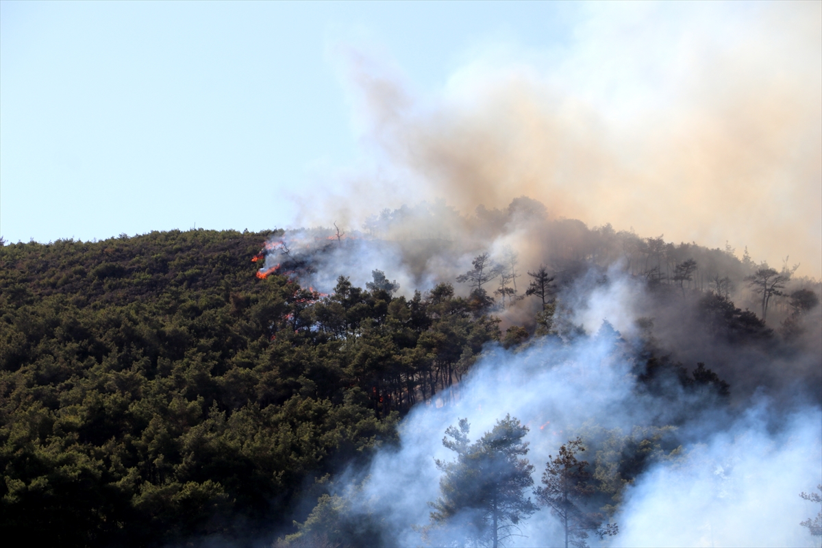 A A 20250704 38473513 38473502 S U R I Y E N I N L A Z K I Y E K E N T I N D E O R M A N Y A N G I N I C I K T I