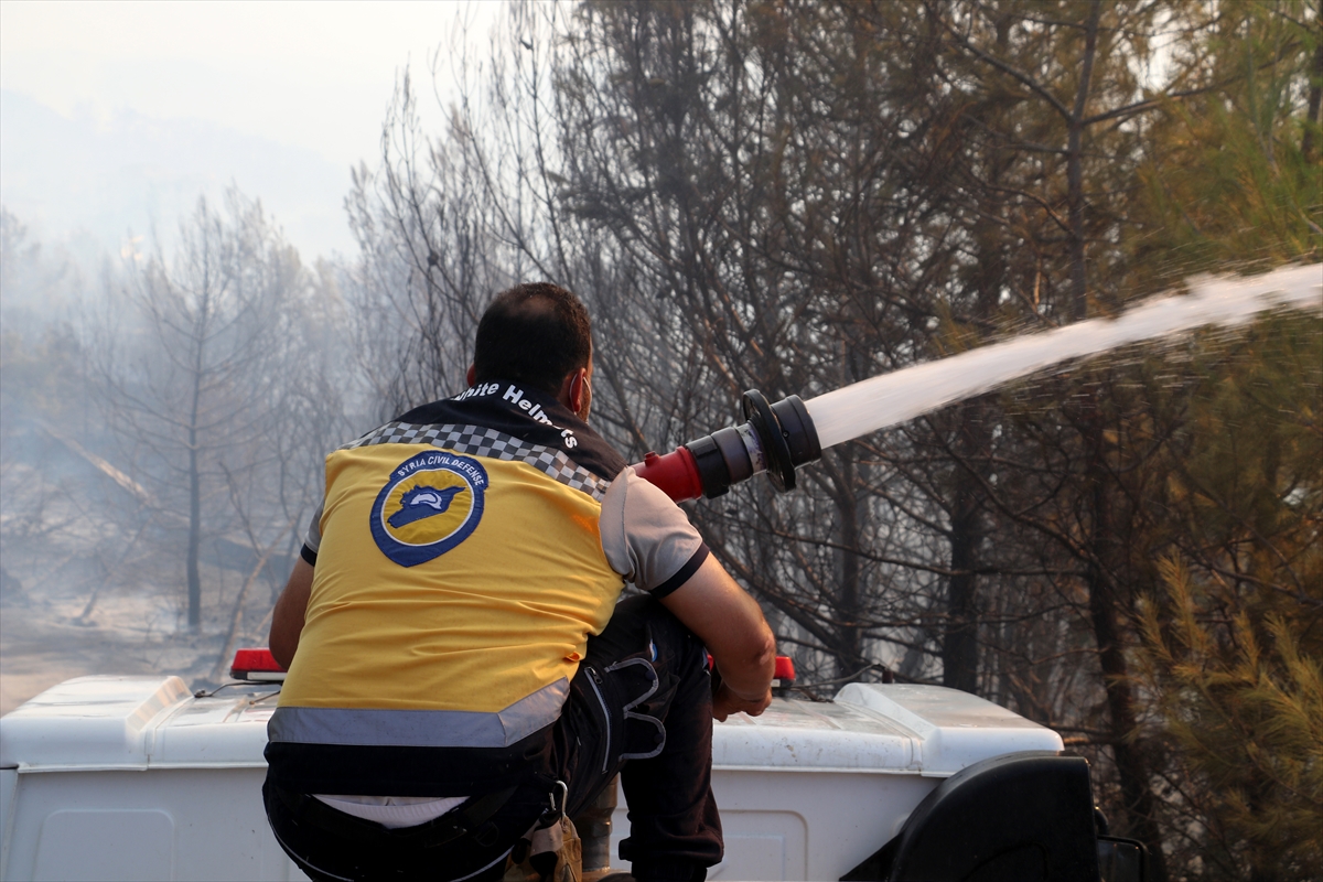 A A 20250704 38473513 38473507 S U R I Y E N I N L A Z K I Y E K E N T I N D E O R M A N Y A N G I N I C I K T I