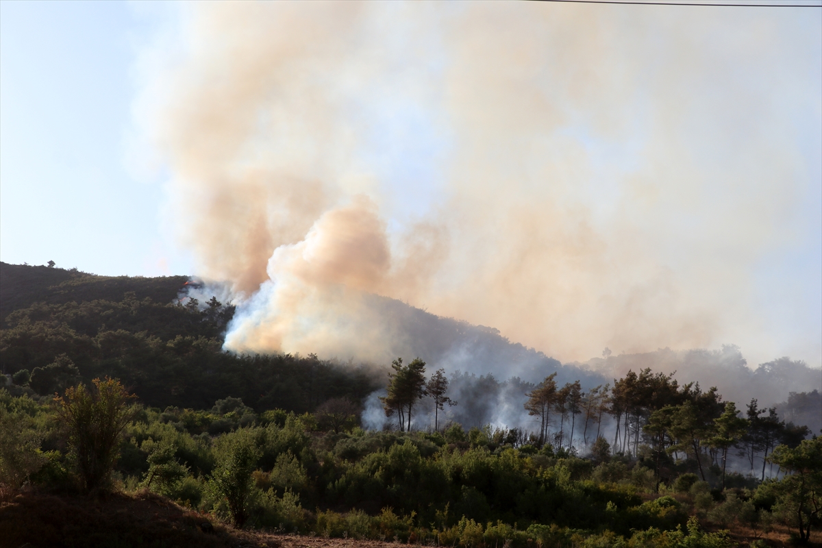 A A 20250704 38473513 38473509 S U R I Y E N I N L A Z K I Y E K E N T I N D E O R M A N Y A N G I N I C I K T I