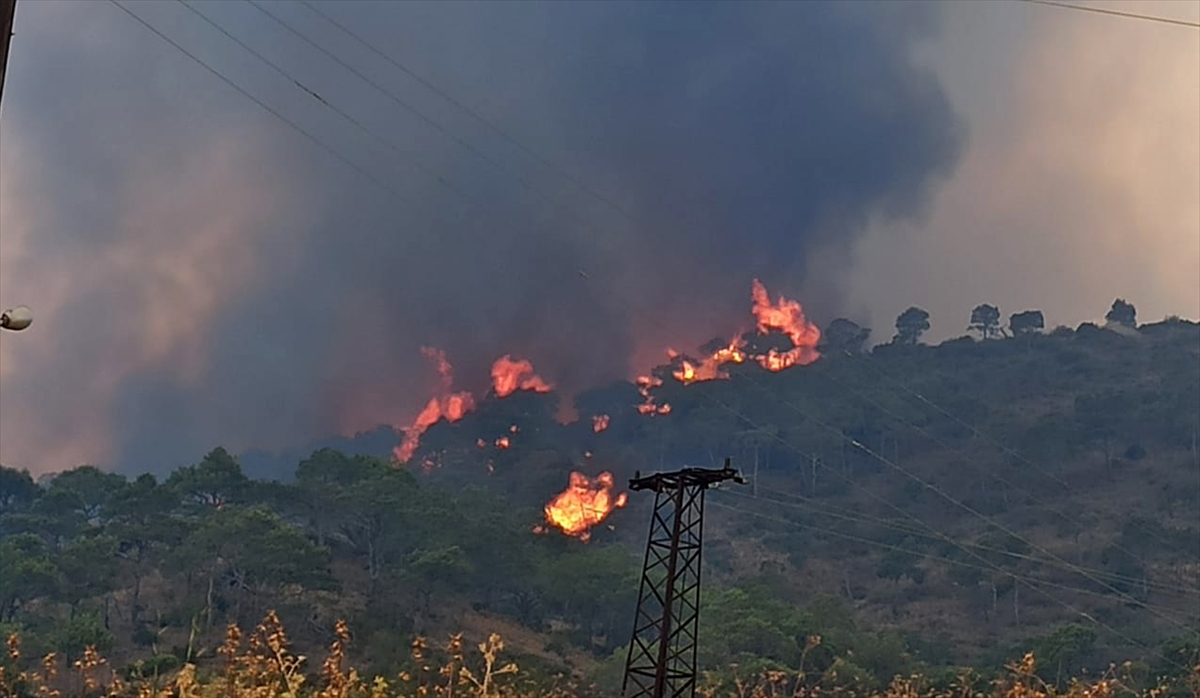 A A 20250704 38473513 38473511 S U R I Y E N I N L A Z K I Y E K E N T I N D E O R M A N Y A N G I N I C I K T I