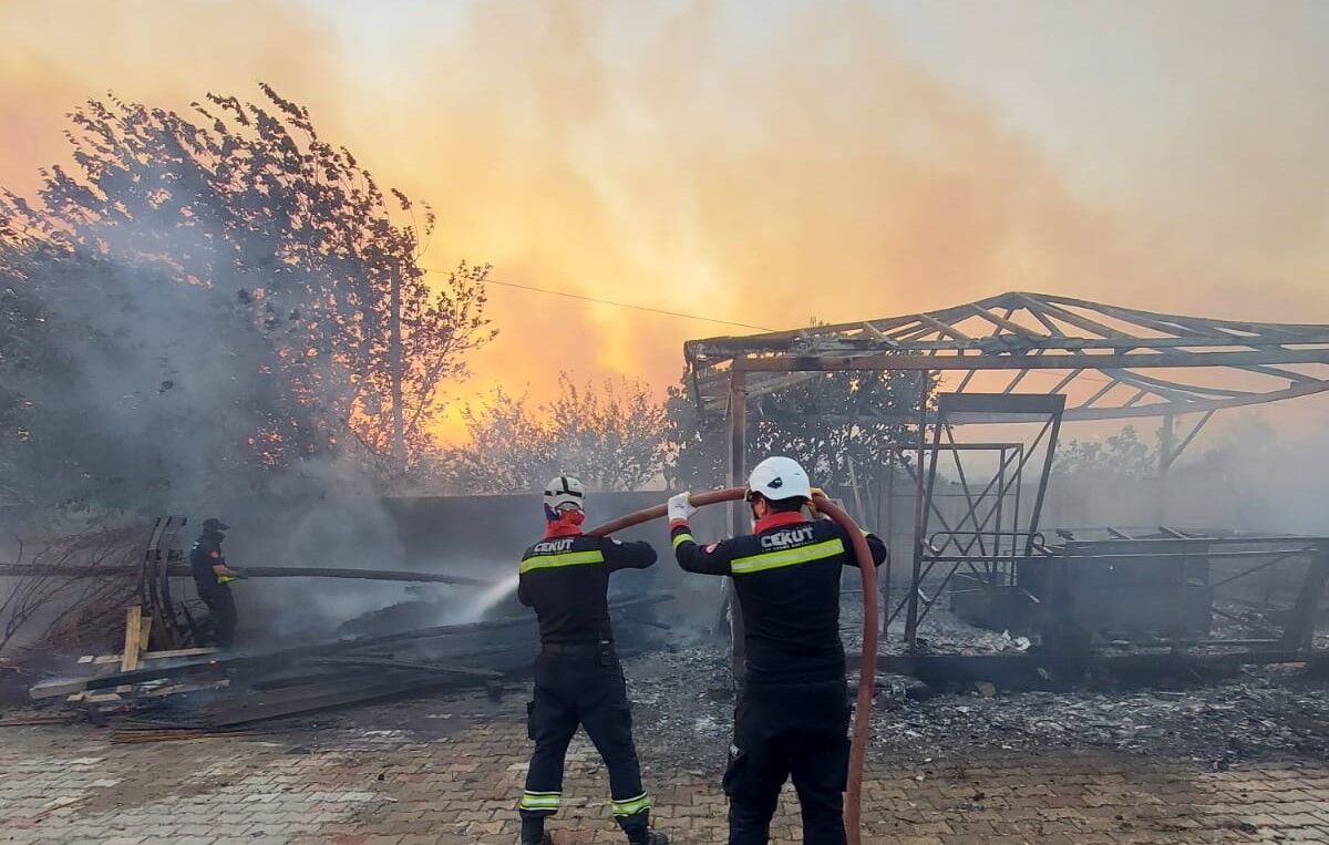 A A 20250705 38476803 38476801 C E K U T E K I P L E R I N D E N O R M A N Y A N G I N L A R I Y L A M U C A D E L E Y E D E S T E K