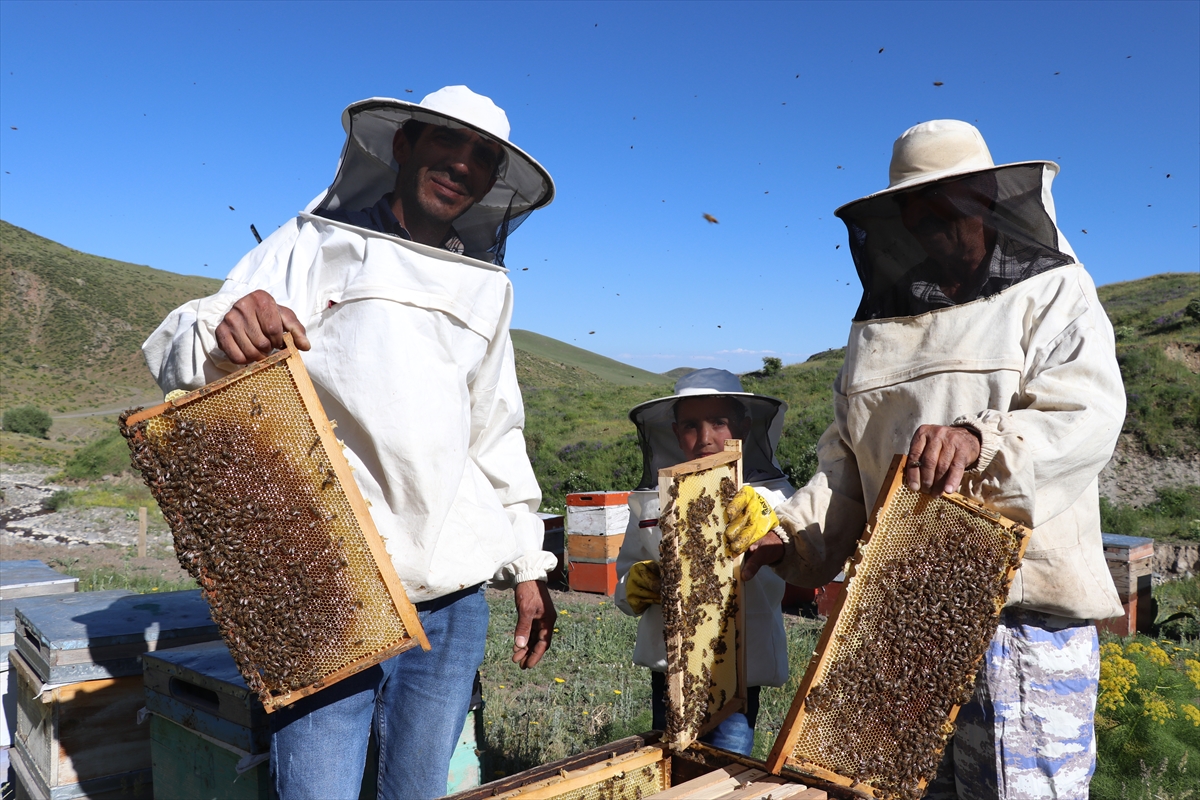 A A 20250706 38484740 38484729 O R G A N I K B A L U R E T T I K L E R I D A G L A R A C I K M A K I C I N O G L U N U N Y A P T I G I E L E K T R I K L I A R A C L A R I K U L L A N I Y O R