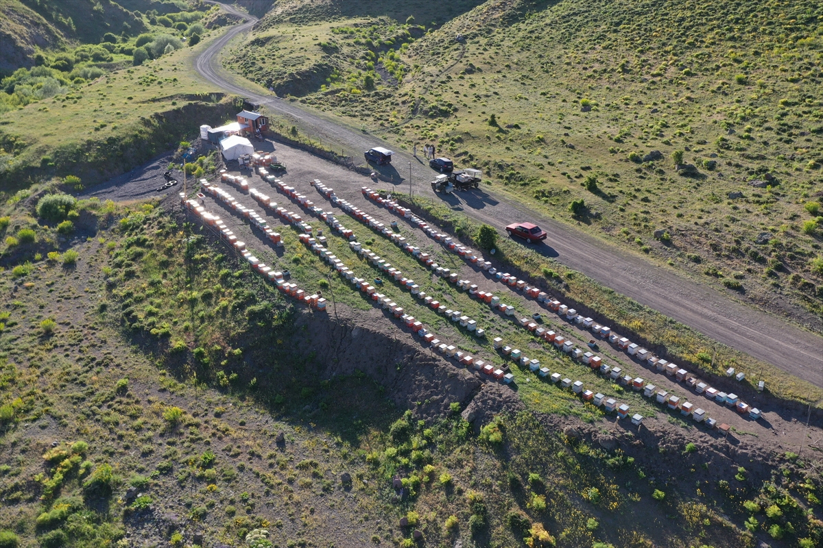 A A 20250706 38484740 38484731 O R G A N I K B A L U R E T T I K L E R I D A G L A R A C I K M A K I C I N O G L U N U N Y A P T I G I E L E K T R I K L I A R A C L A R I K U L L A N I Y O R