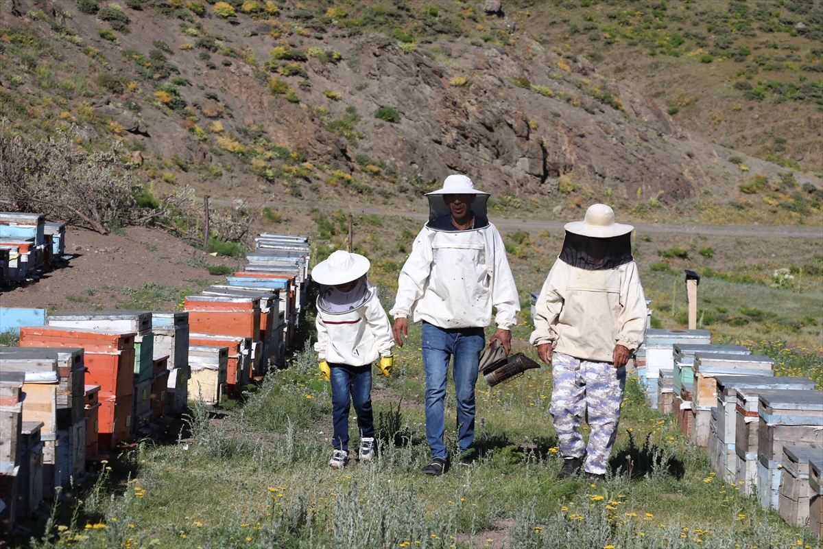 A A 20250706 38484740 38484734 O R G A N I K B A L U R E T T I K L E R I D A G L A R A C I K M A K I C I N O G L U N U N Y A P T I G I E L E K T R I K L I A R A C L A R I K U L L A N I Y O R