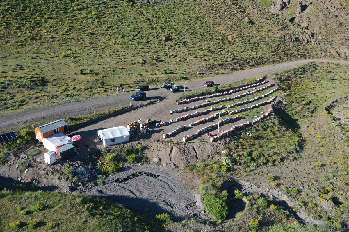 A A 20250706 38484740 38484735 O R G A N I K B A L U R E T T I K L E R I D A G L A R A C I K M A K I C I N O G L U N U N Y A P T I G I E L E K T R I K L I A R A C L A R I K U L L A N I Y O R