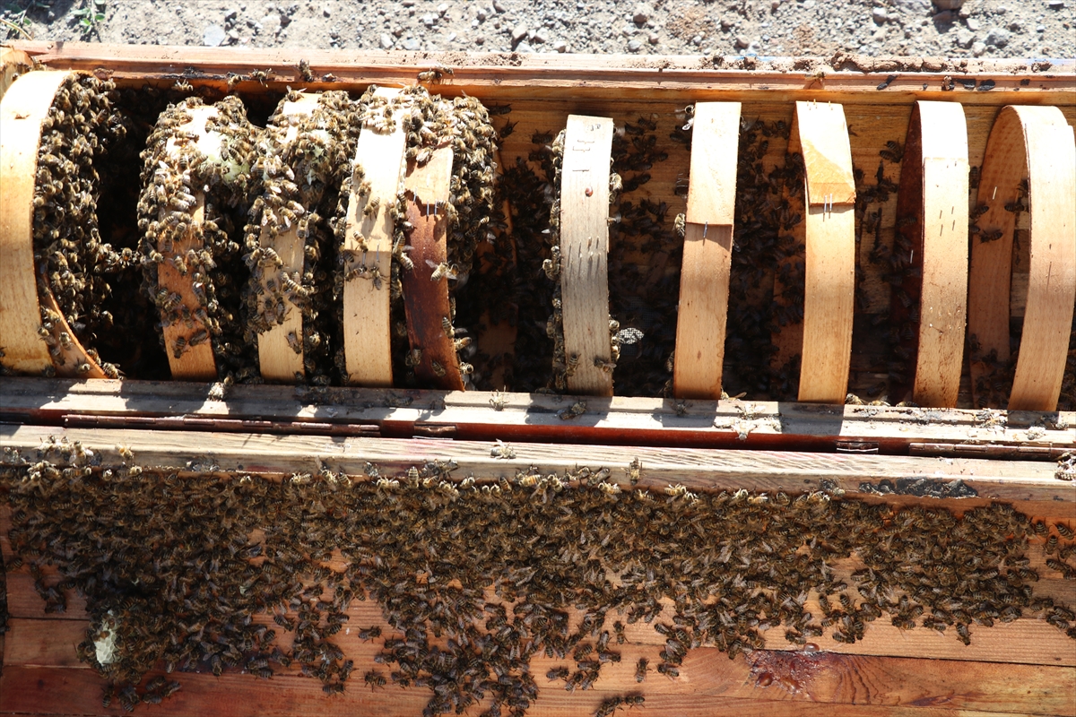 A A 20250706 38484740 38484737 O R G A N I K B A L U R E T T I K L E R I D A G L A R A C I K M A K I C I N O G L U N U N Y A P T I G I E L E K T R I K L I A R A C L A R I K U L L A N I Y O R