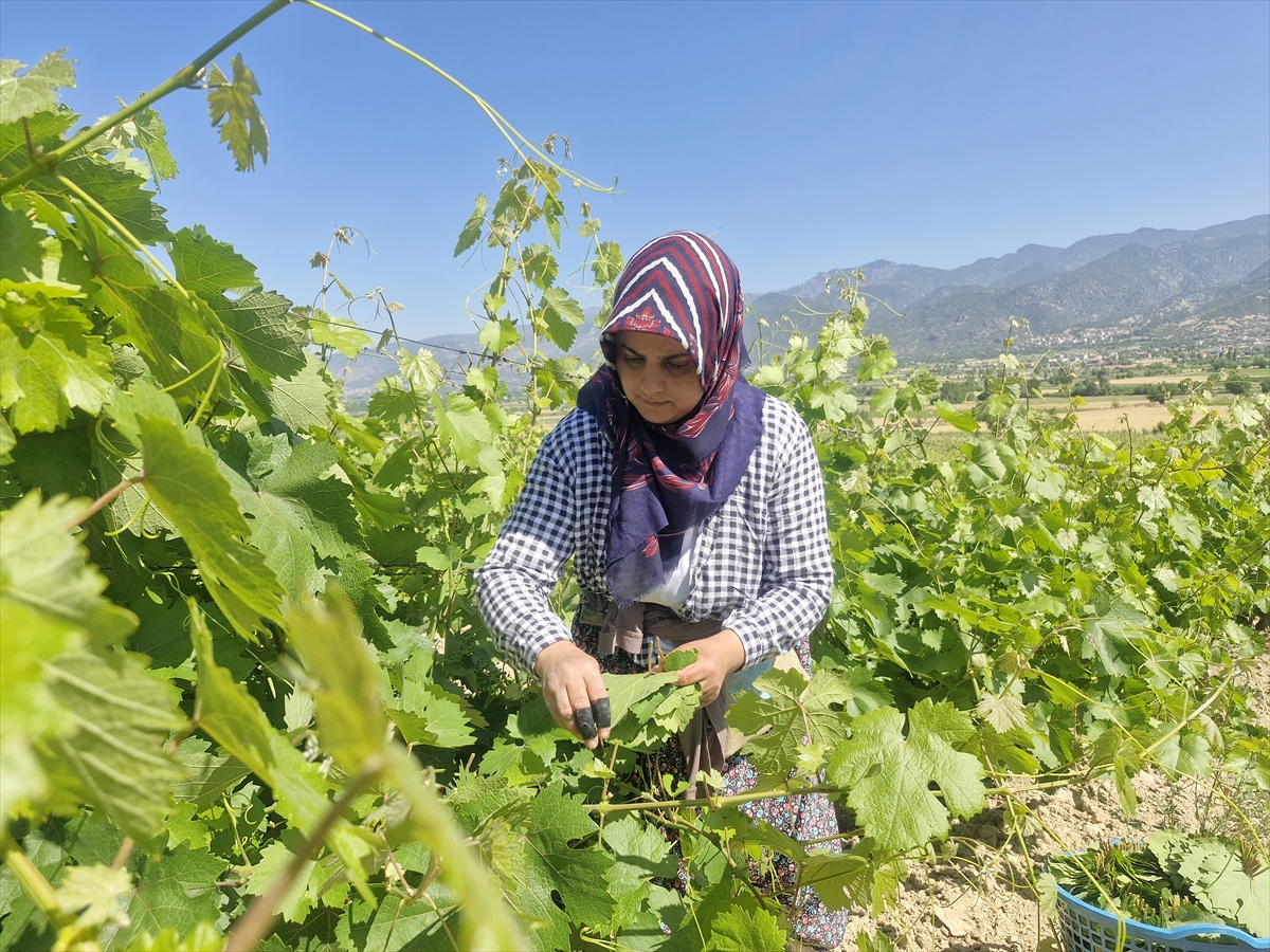 A A 20250706 38485628 38485621 E R B A A N A R I N C E B A G Y A P R A G I N D A N 2 M I L Y A R L I R A L I K G E L I R B E K L E N I Y O R