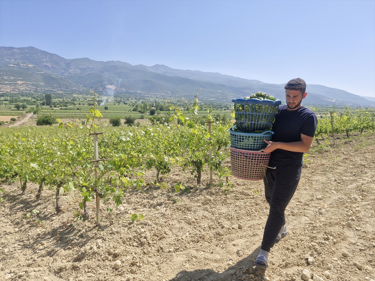 A A 20250706 38485628 38485622 E R B A A N A R I N C E B A G Y A P R A G I N D A N 2 M I L Y A R L I R A L I K G E L I R B E K L E N I Y O R