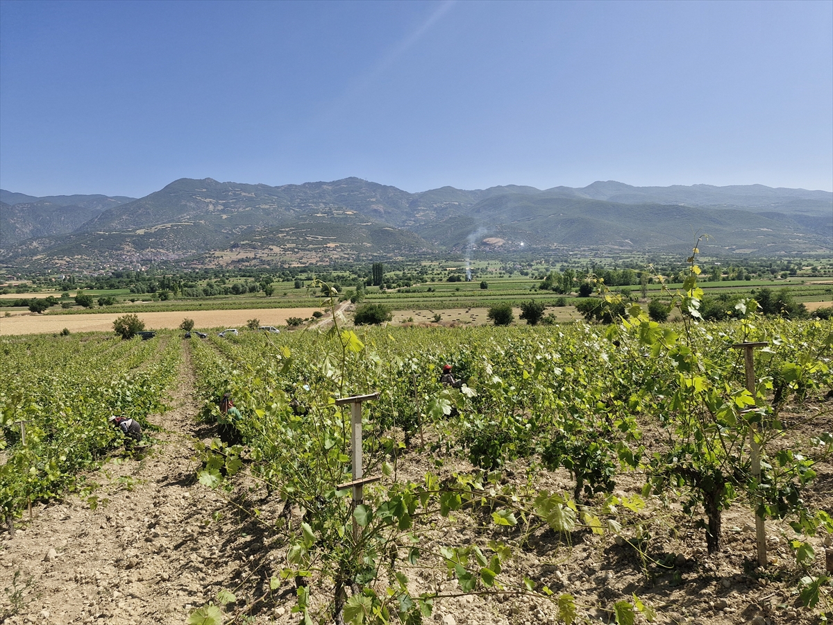 A A 20250706 38485628 38485625 E R B A A N A R I N C E B A G Y A P R A G I N D A N 2 M I L Y A R L I R A L I K G E L I R B E K L E N I Y O R