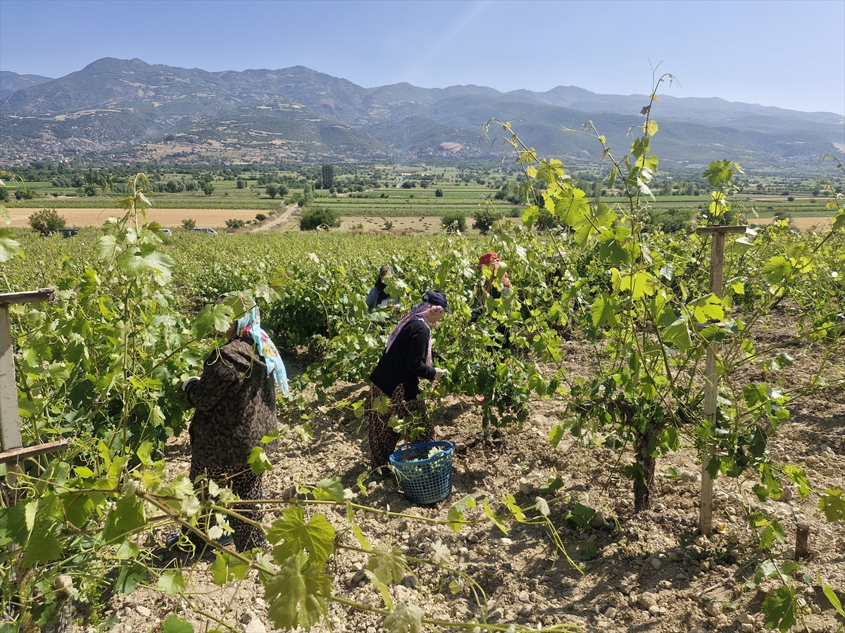 A A 20250706 38485628 38485626 E R B A A N A R I N C E B A G Y A P R A G I N D A N 2 M I L Y A R L I R A L I K G E L I R B E K L E N I Y O R