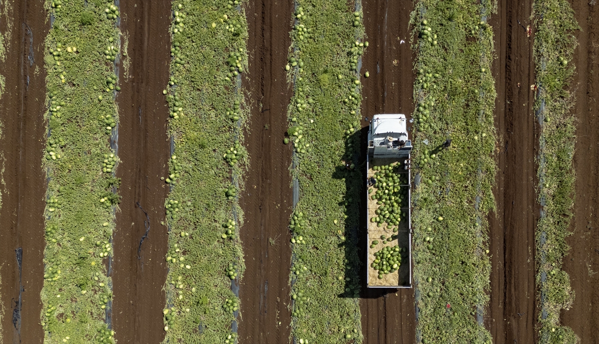 A A 20250708 38501984 38501953 D I Y A R B A K I R D A 40 D E R E C E Y I A S A N S I C A K T A K A R P U Z H A S A D I