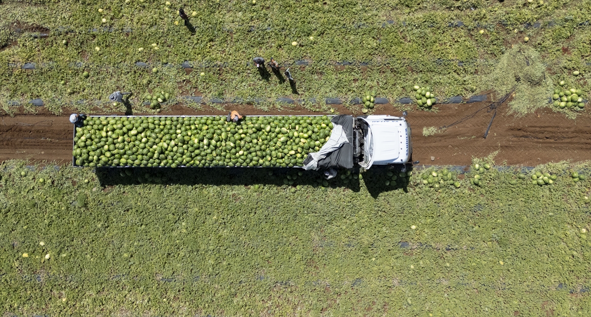 A A 20250708 38501984 38501962 D I Y A R B A K I R D A 40 D E R E C E Y I A S A N S I C A K T A K A R P U Z H A S A D I