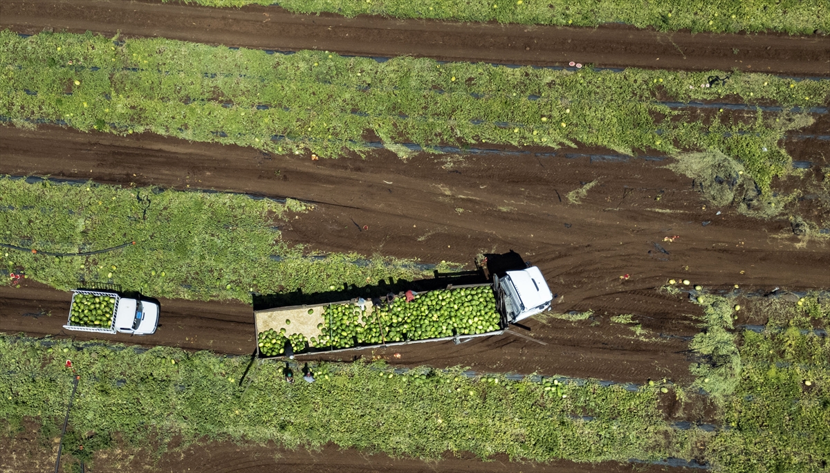 A A 20250708 38501984 38501970 D I Y A R B A K I R D A 40 D E R E C E Y I A S A N S I C A K T A K A R P U Z H A S A D I