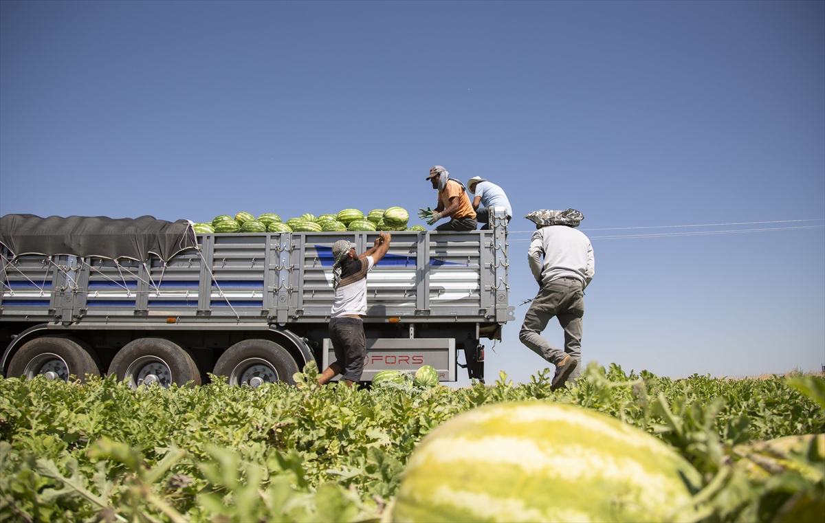 A A 20250708 38501984 38501971 D I Y A R B A K I R D A 40 D E R E C E Y I A S A N S I C A K T A K A R P U Z H A S A D I