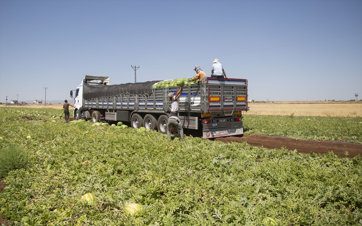 A A 20250708 38501984 38501972 D I Y A R B A K I R D A 40 D E R E C E Y I A S A N S I C A K T A K A R P U Z H A S A D I