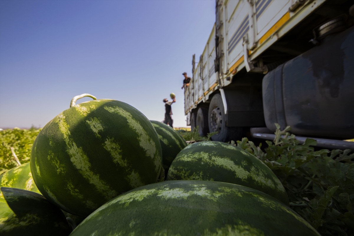 A A 20250708 38501984 38501977 D I Y A R B A K I R D A 40 D E R E C E Y I A S A N S I C A K T A K A R P U Z H A S A D I