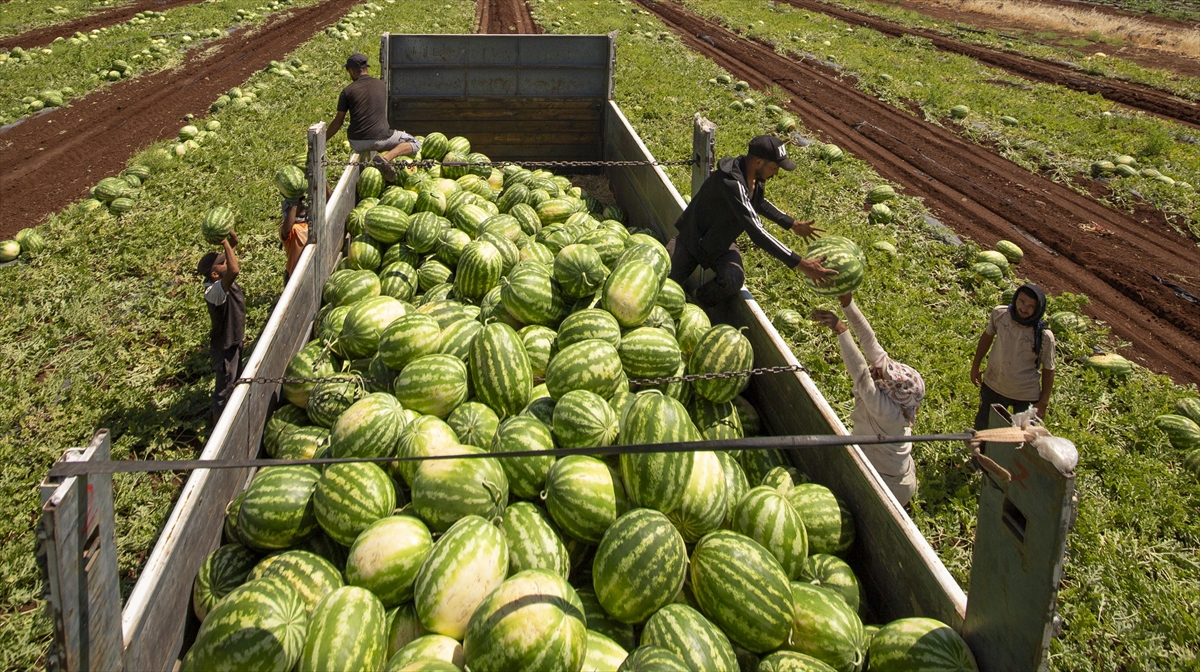 A A 20250708 38501984 38501980 D I Y A R B A K I R D A 40 D E R E C E Y I A S A N S I C A K T A K A R P U Z H A S A D I