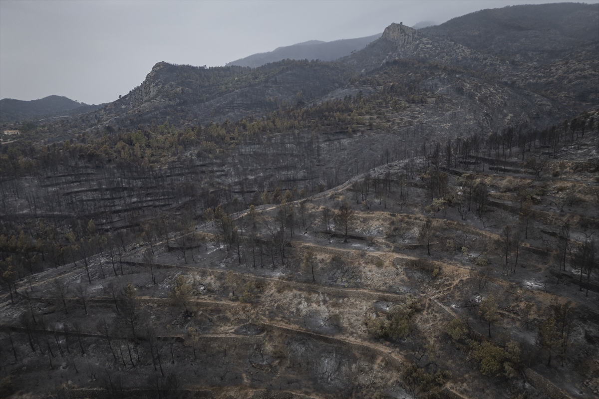 A A 20250709 38516807 38516781 K A T A L O N Y A D A O R M A N Y A N G I N L A R I 18 B I N K I S I N I N Y A S A M I N I O L U M S U Z E T K I L E D I