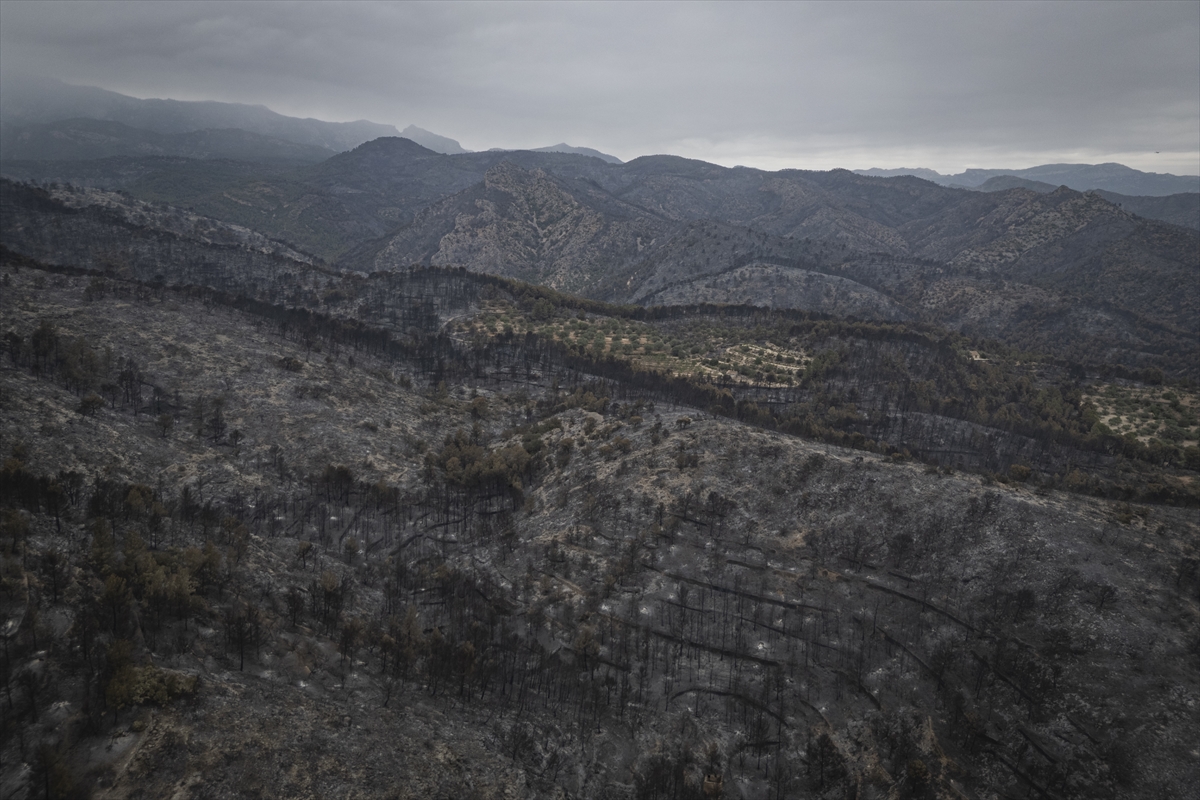 A A 20250709 38516807 38516782 K A T A L O N Y A D A O R M A N Y A N G I N L A R I 18 B I N K I S I N I N Y A S A M I N I O L U M S U Z E T K I L E D I