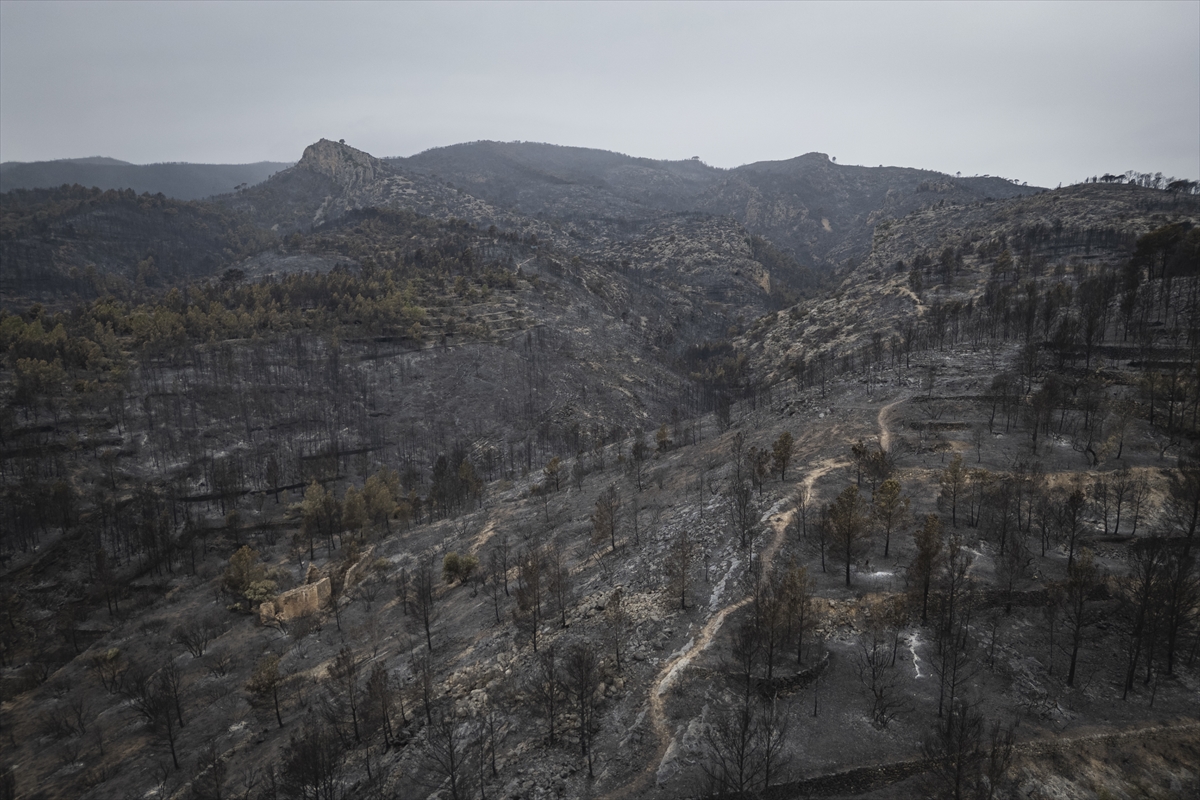 A A 20250709 38516807 38516785 K A T A L O N Y A D A O R M A N Y A N G I N L A R I 18 B I N K I S I N I N Y A S A M I N I O L U M S U Z E T K I L E D I