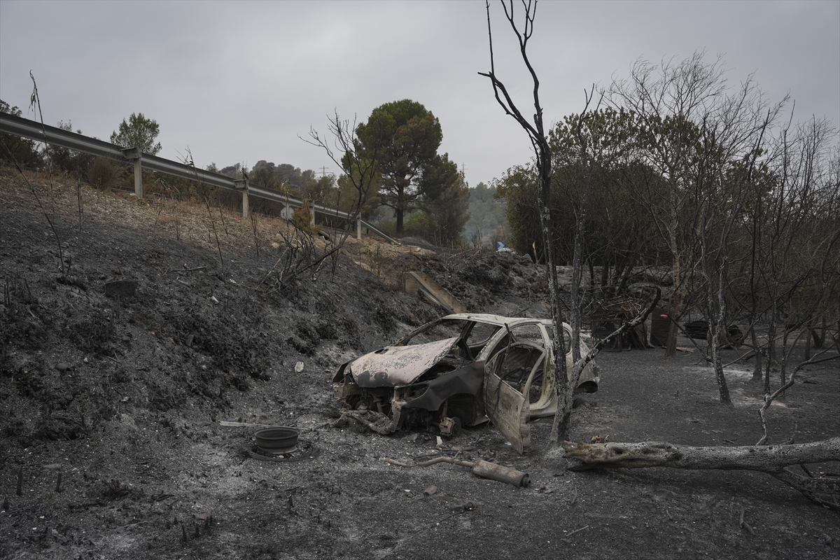 A A 20250709 38516807 38516788 K A T A L O N Y A D A O R M A N Y A N G I N L A R I 18 B I N K I S I N I N Y A S A M I N I O L U M S U Z E T K I L E D I