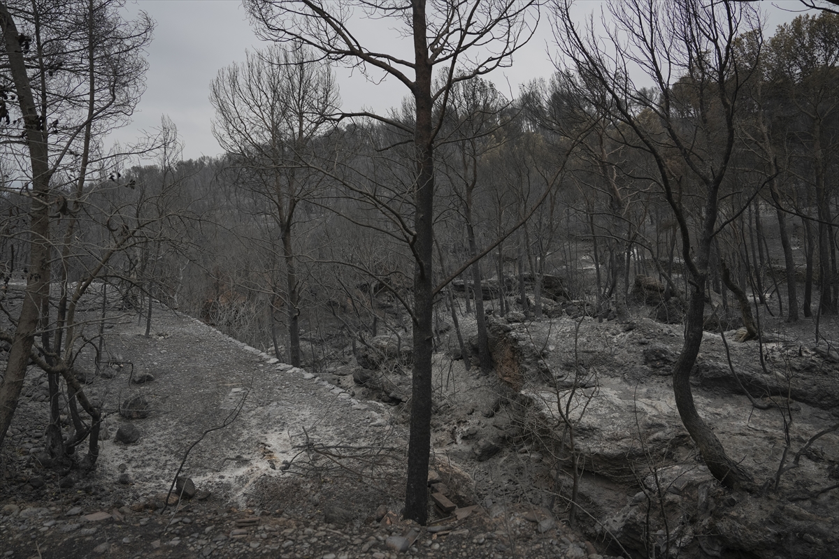 A A 20250709 38516807 38516792 K A T A L O N Y A D A O R M A N Y A N G I N L A R I 18 B I N K I S I N I N Y A S A M I N I O L U M S U Z E T K I L E D I