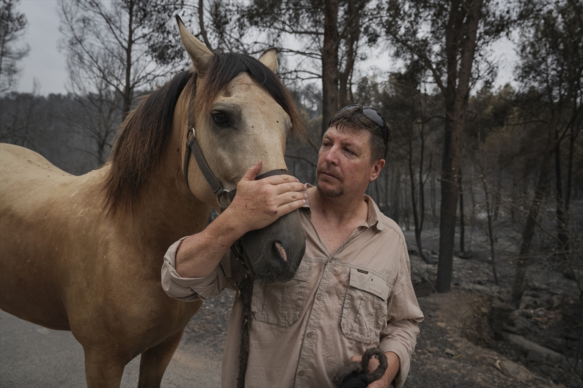 A A 20250709 38516807 38516793 K A T A L O N Y A D A O R M A N Y A N G I N L A R I 18 B I N K I S I N I N Y A S A M I N I O L U M S U Z E T K I L E D I