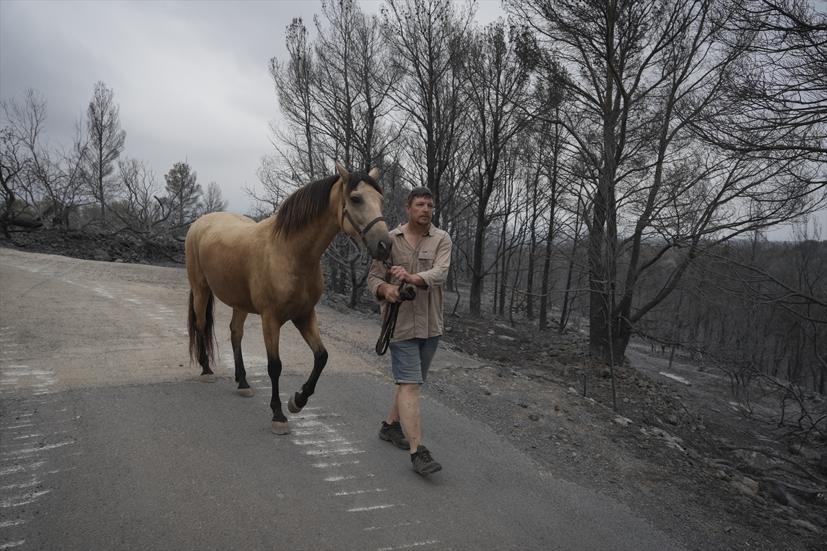 A A 20250709 38516807 38516800 K A T A L O N Y A D A O R M A N Y A N G I N L A R I 18 B I N K I S I N I N Y A S A M I N I O L U M S U Z E T K I L E D I