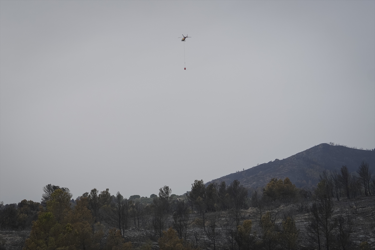 A A 20250709 38516807 38516803 K A T A L O N Y A D A O R M A N Y A N G I N L A R I 18 B I N K I S I N I N Y A S A M I N I O L U M S U Z E T K I L E D I