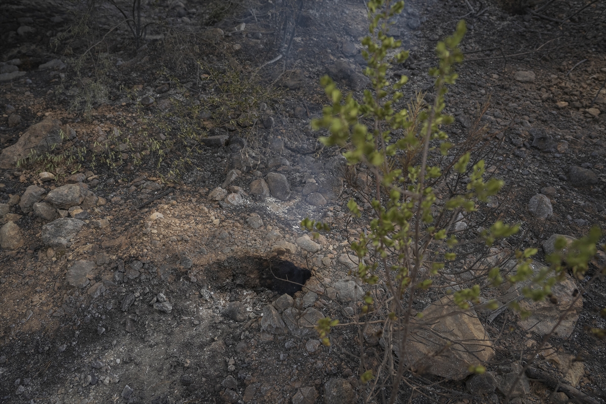 A A 20250709 38516807 38516806 K A T A L O N Y A D A O R M A N Y A N G I N L A R I 18 B I N K I S I N I N Y A S A M I N I O L U M S U Z E T K I L E D I