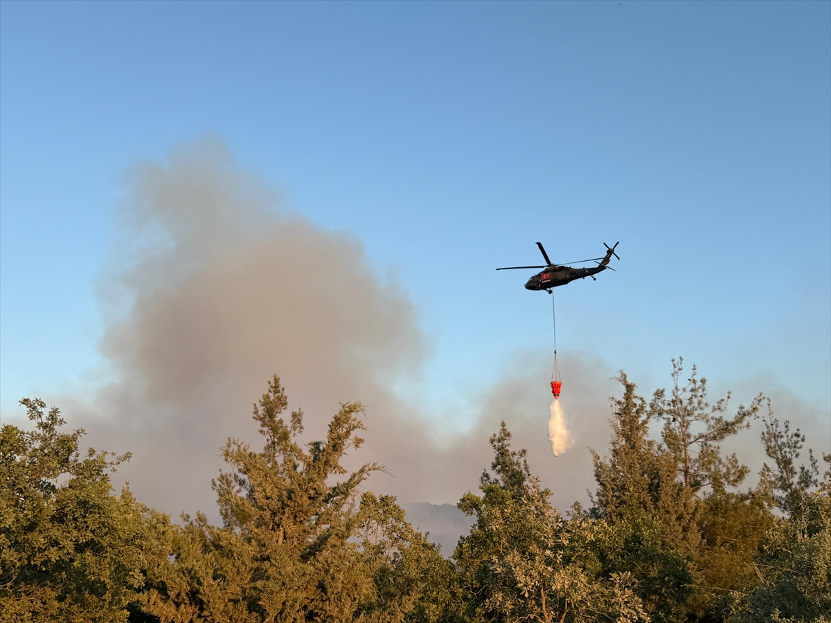 A A 20250709 38517937 38517932 B U R S A D A O R M A N Y A N G I N I N A H A V A D A N V E K A R A D A N M U D A H A L E E D I L I Y O R