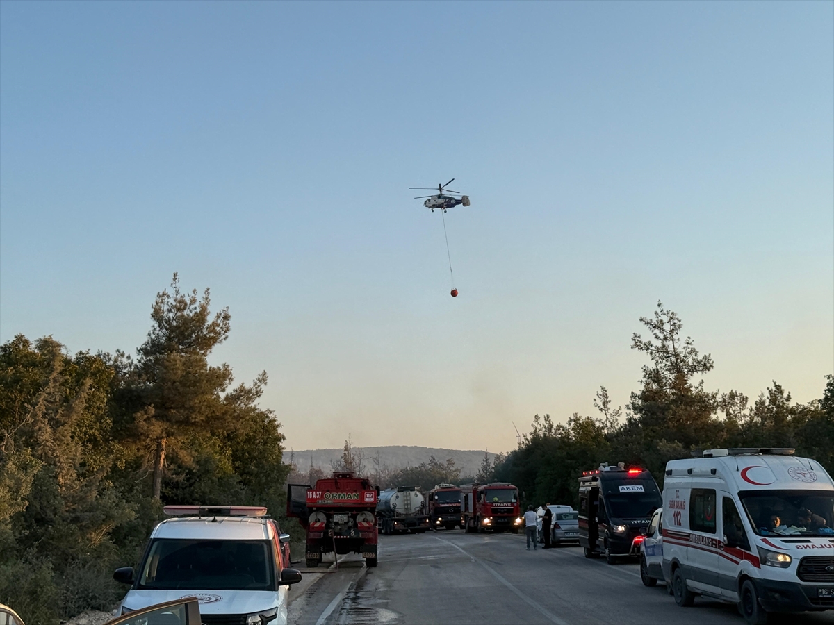 A A 20250709 38517937 38517934 B U R S A D A O R M A N Y A N G I N I N A H A V A D A N V E K A R A D A N M U D A H A L E E D I L I Y O R