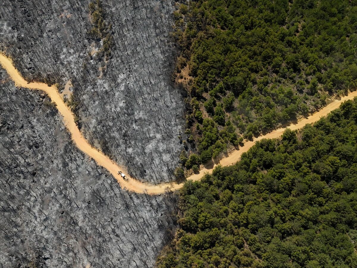 A A 20250710 38521197 38521181 U S A K T A O R M A N Y A N G I N I N D A N E T K I L E N E N A L A N L A R H A V A D A N G O R U N T U L E N D I