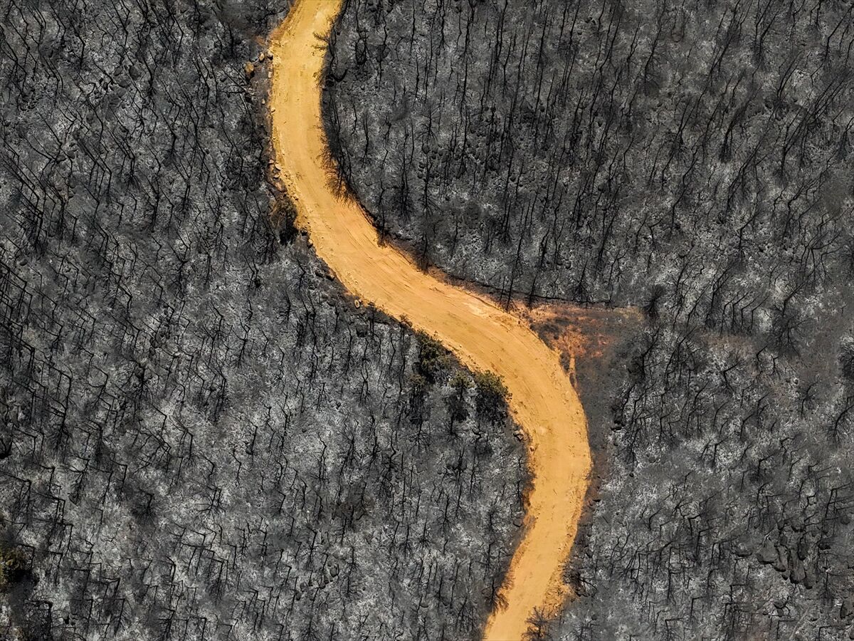 A A 20250710 38521197 38521182 U S A K T A O R M A N Y A N G I N I N D A N E T K I L E N E N A L A N L A R H A V A D A N G O R U N T U L E N D I