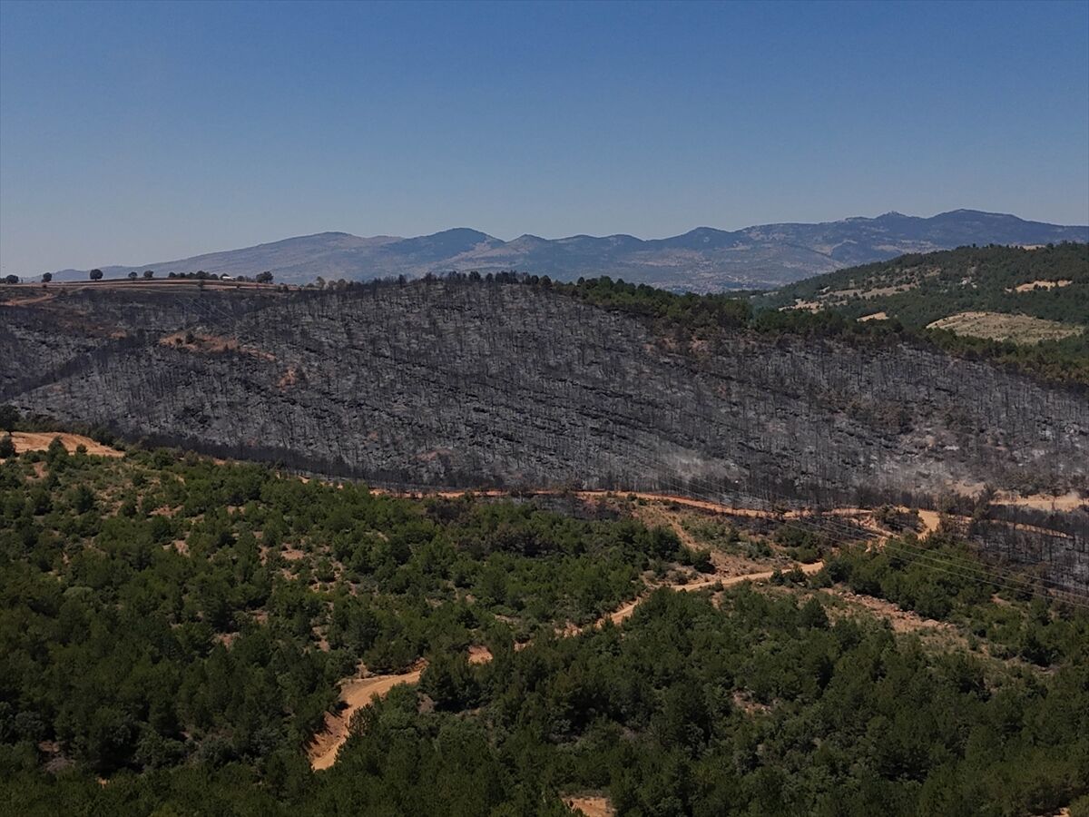 A A 20250710 38521197 38521183 U S A K T A O R M A N Y A N G I N I N D A N E T K I L E N E N A L A N L A R H A V A D A N G O R U N T U L E N D I