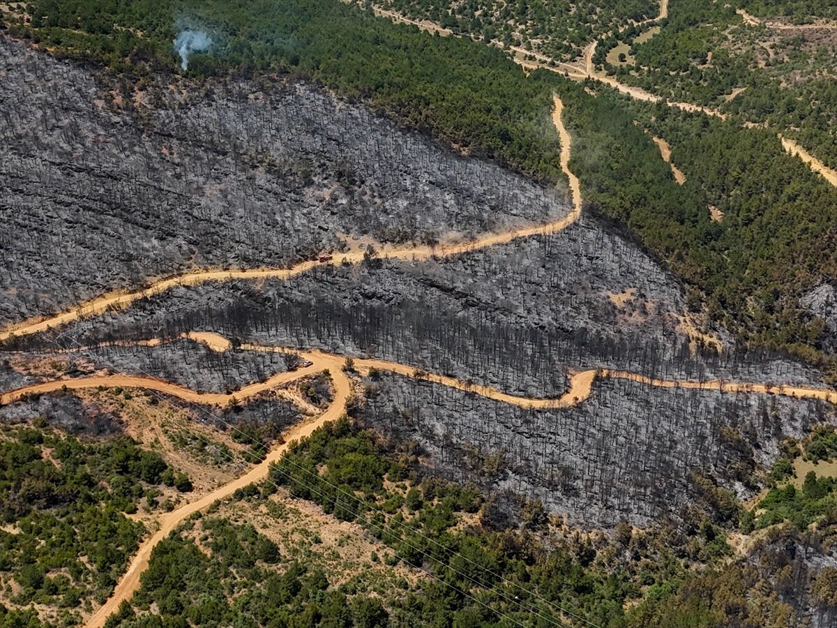 A A 20250710 38521197 38521184 U S A K T A O R M A N Y A N G I N I N D A N E T K I L E N E N A L A N L A R H A V A D A N G O R U N T U L E N D I