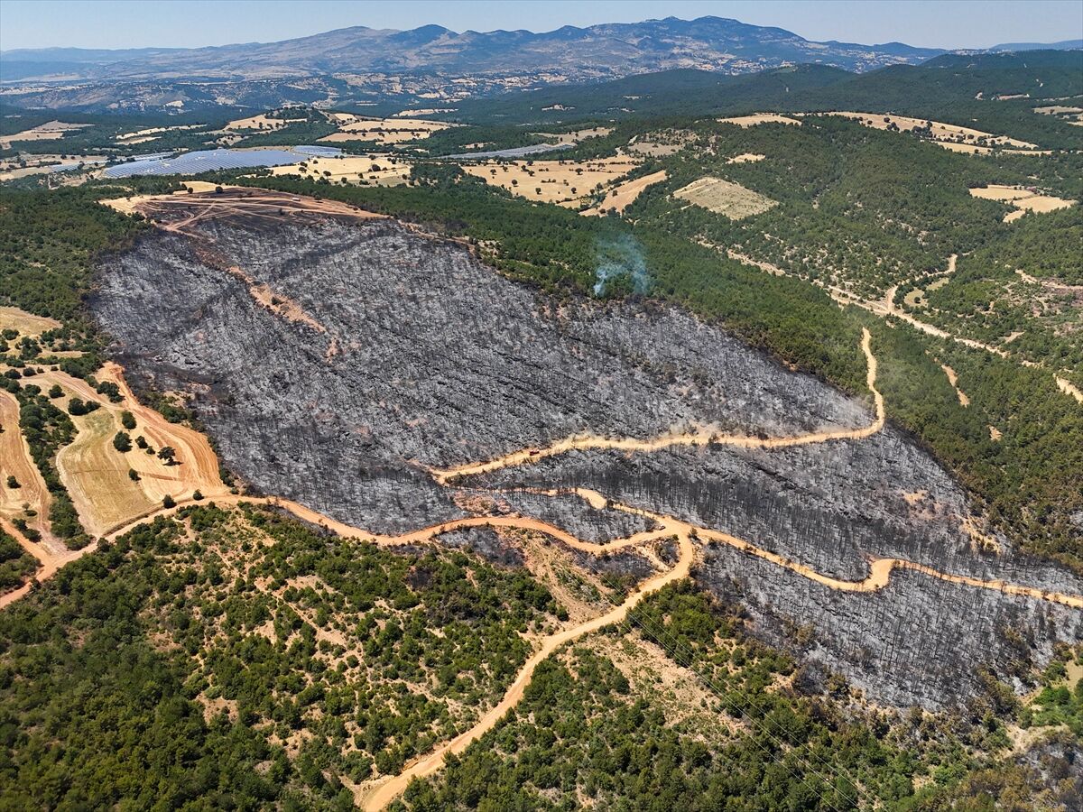 A A 20250710 38521197 38521185 U S A K T A O R M A N Y A N G I N I N D A N E T K I L E N E N A L A N L A R H A V A D A N G O R U N T U L E N D I