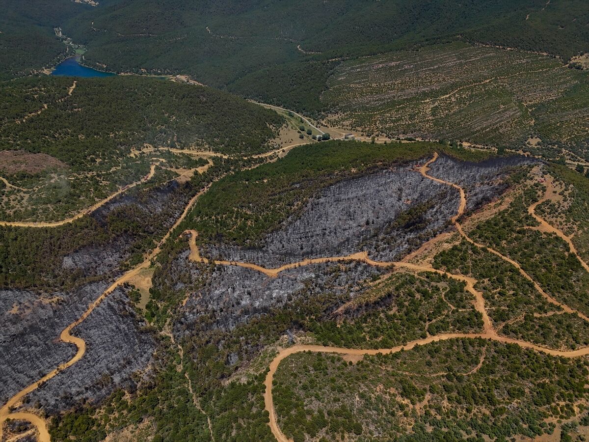 A A 20250710 38521197 38521186 U S A K T A O R M A N Y A N G I N I N D A N E T K I L E N E N A L A N L A R H A V A D A N G O R U N T U L E N D I