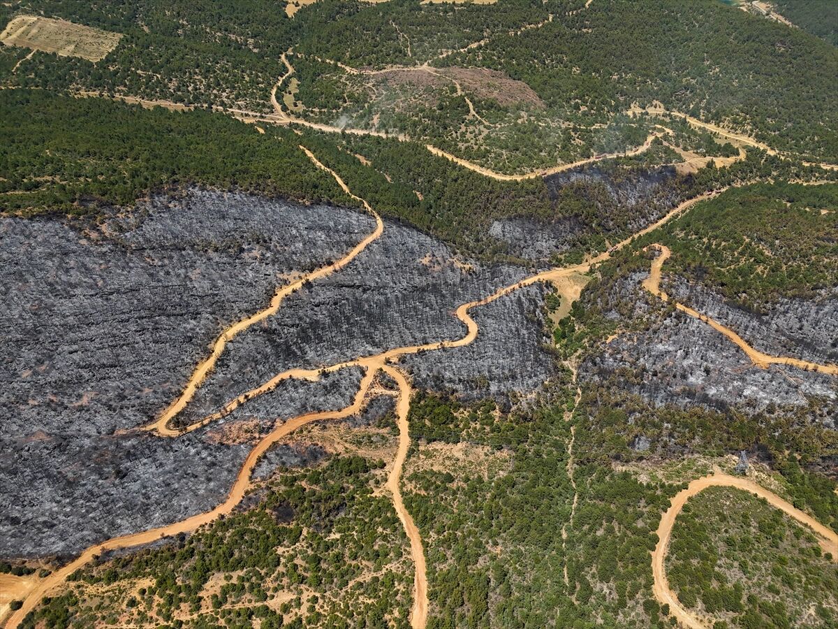 A A 20250710 38521197 38521187 U S A K T A O R M A N Y A N G I N I N D A N E T K I L E N E N A L A N L A R H A V A D A N G O R U N T U L E N D I