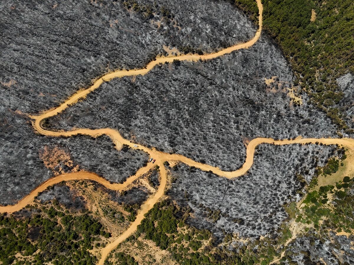 A A 20250710 38521197 38521188 U S A K T A O R M A N Y A N G I N I N D A N E T K I L E N E N A L A N L A R H A V A D A N G O R U N T U L E N D I