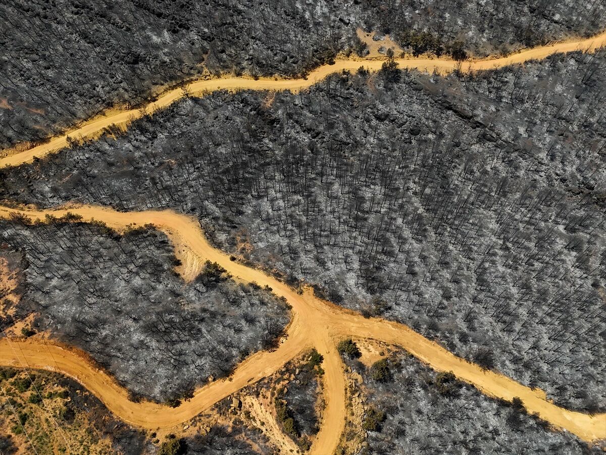 A A 20250710 38521197 38521189 U S A K T A O R M A N Y A N G I N I N D A N E T K I L E N E N A L A N L A R H A V A D A N G O R U N T U L E N D I