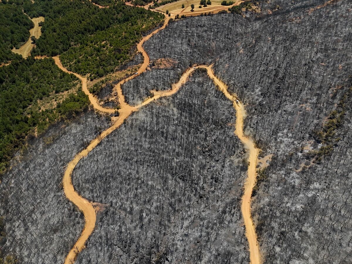 A A 20250710 38521197 38521190 U S A K T A O R M A N Y A N G I N I N D A N E T K I L E N E N A L A N L A R H A V A D A N G O R U N T U L E N D I