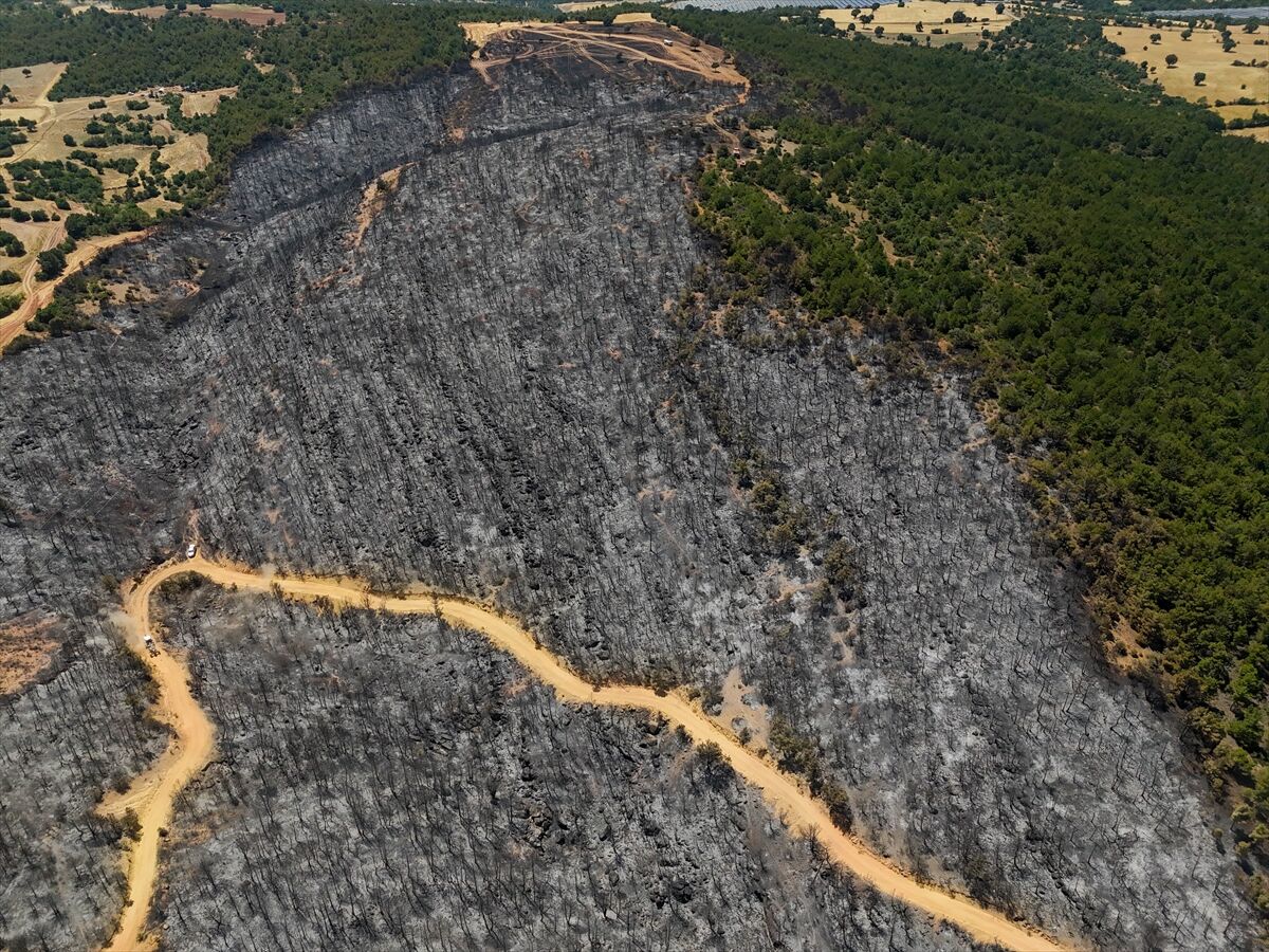 A A 20250710 38521197 38521191 U S A K T A O R M A N Y A N G I N I N D A N E T K I L E N E N A L A N L A R H A V A D A N G O R U N T U L E N D I