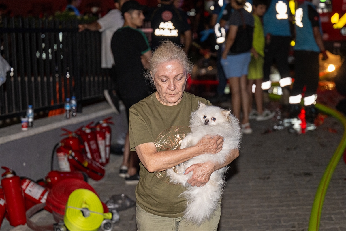 A A 20250712 38545627 38545624 B A S K E N T T E 26 K A T L I B I N A D A C I K A N Y A N G I N A M U D A H A L E S U R U Y O R